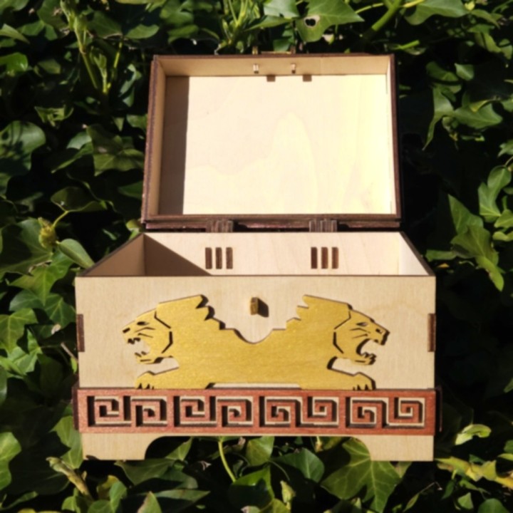 Coffret lions _ naturel