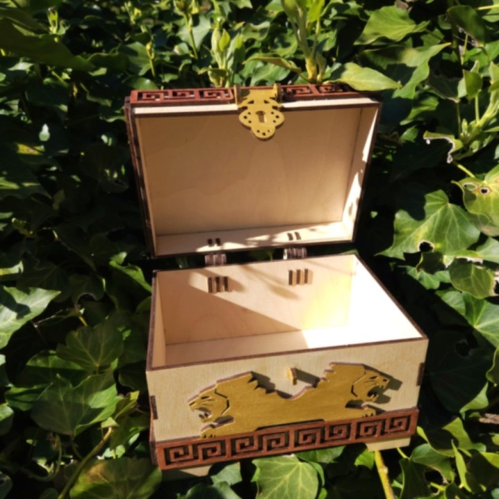 Coffret lions _ naturel