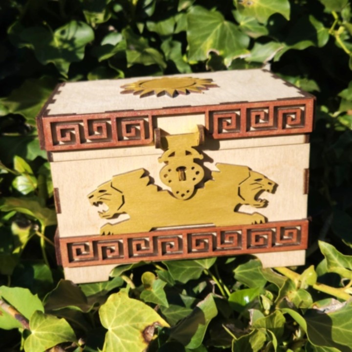 Coffret lions _ naturel
