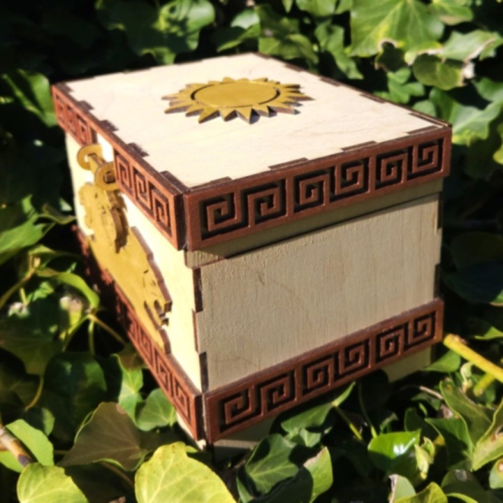 Coffret lions _ naturel