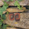 BO Fantaisie 4,3cm - Marron clair et marron foncé