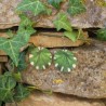 BO Rondes 4cm - Feuilles (var. 3)