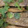 BO Rondes 4cm - Feuilles (var. 2)