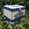 Coffret lions _ blanc, bleu et bois