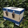 Coffret lions _ blanc, bleu et bois