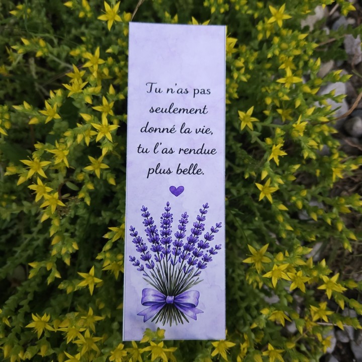 Marque-page maman _ « Tu n'as pas seulement donné la vie, tu l'as rendue plus belle »