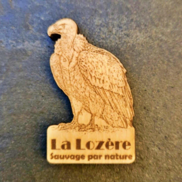Magnet vautour _ « La Lozère, sauvage par nature »