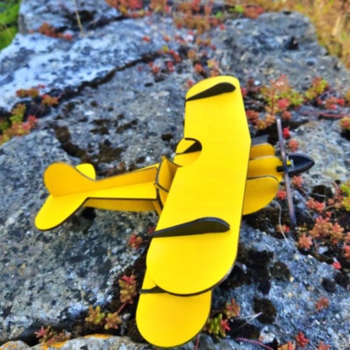 Avion biplan en bois à monter