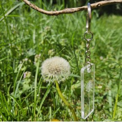 Porte-clés pissenlit transparent