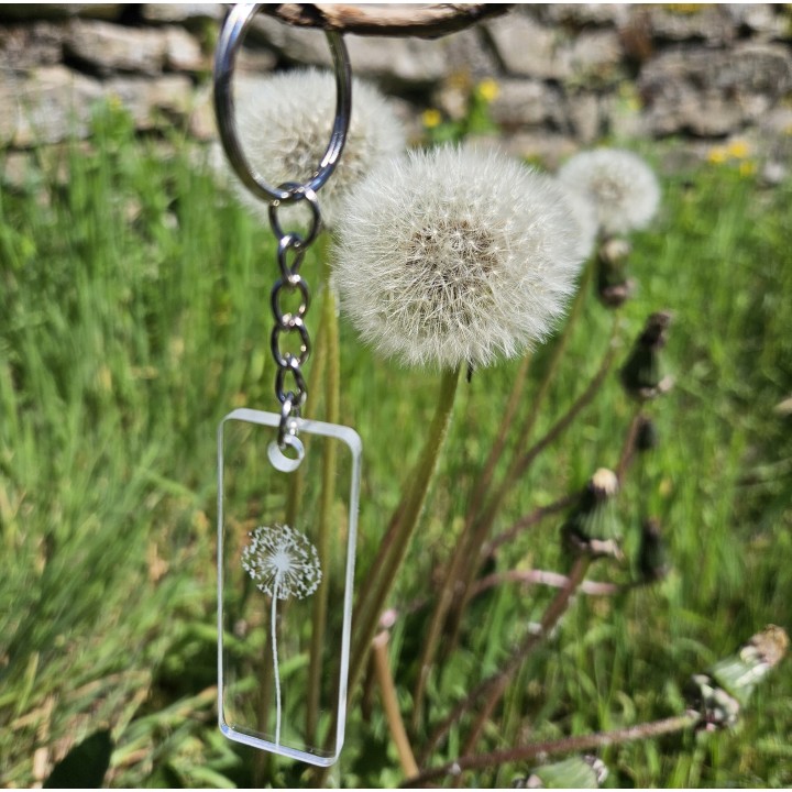 Porte-clés pissenlit transparent