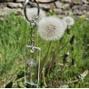 Porte-clés pissenlit transparent