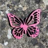 Papillon rose