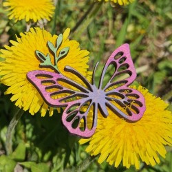 Papillon tons violacés