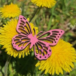 Papillon rose