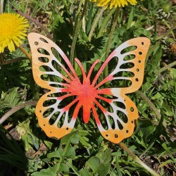 Papillon flamboyant