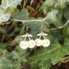 BO Fantaisie 3,1cm - Cerises kawaii