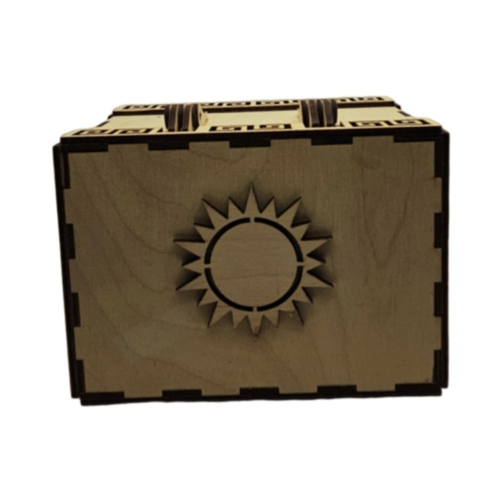 Coffret lions _ naturel
