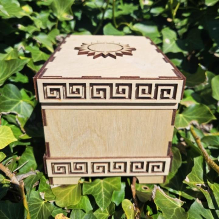 Coffret lions _ naturel
