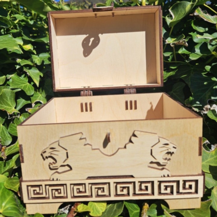 Coffret lions _ naturel