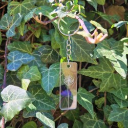Porte-clés pissenlit transparent