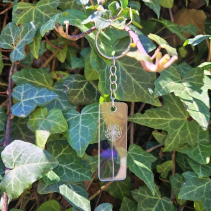 Porte-clés pissenlit transparent