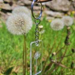 Porte-clés pissenlit transparent