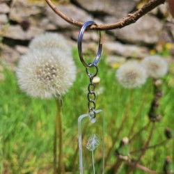 Porte-clés pissenlit transparent