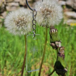 Porte-clés pissenlit transparent