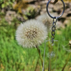 Porte-clés pissenlit transparent