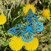 Papillons
